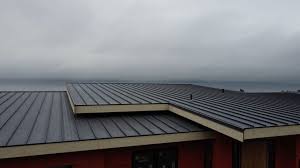 Best Cold Roofs  in Lemon Hill, CA